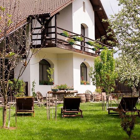 Casa Mosului - Transfagarasan Bed & Breakfast Cîrţişoara 外观 照片