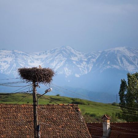 Casa Mosului - Transfagarasan Bed & Breakfast Cîrţişoara 外观 照片