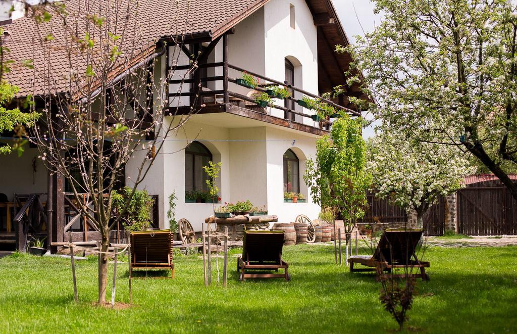 Casa Mosului - Transfagarasan Bed & Breakfast Cîrţişoara 外观 照片