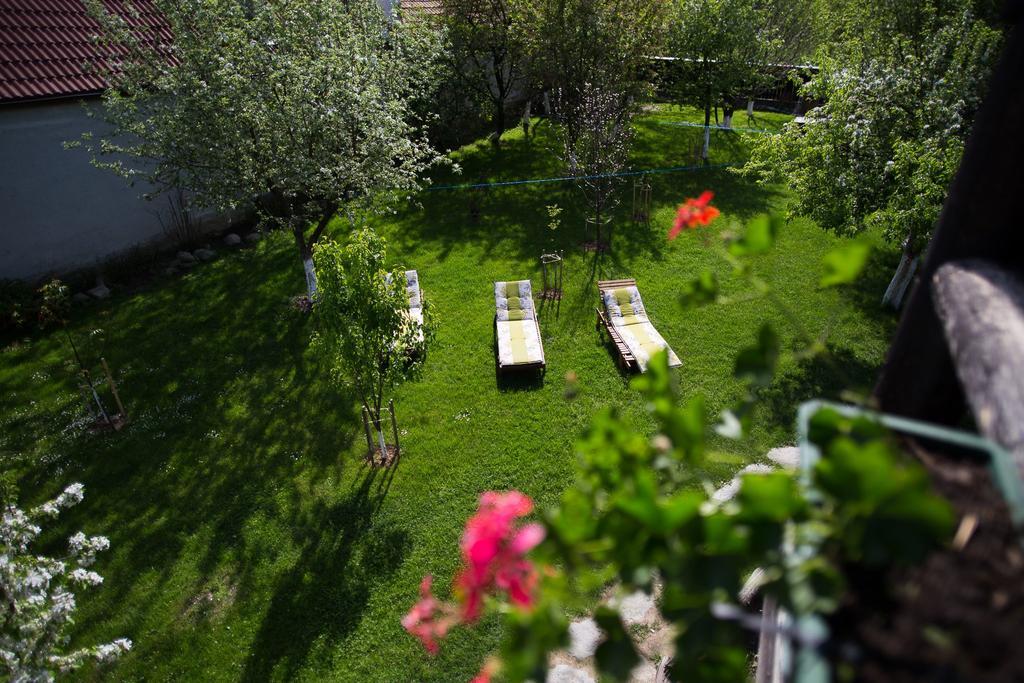 Casa Mosului - Transfagarasan Bed & Breakfast Cîrţişoara 外观 照片
