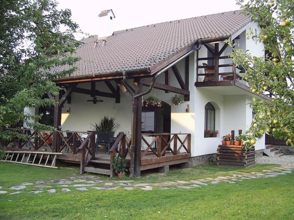 Casa Mosului - Transfagarasan Bed & Breakfast Cîrţişoara 外观 照片