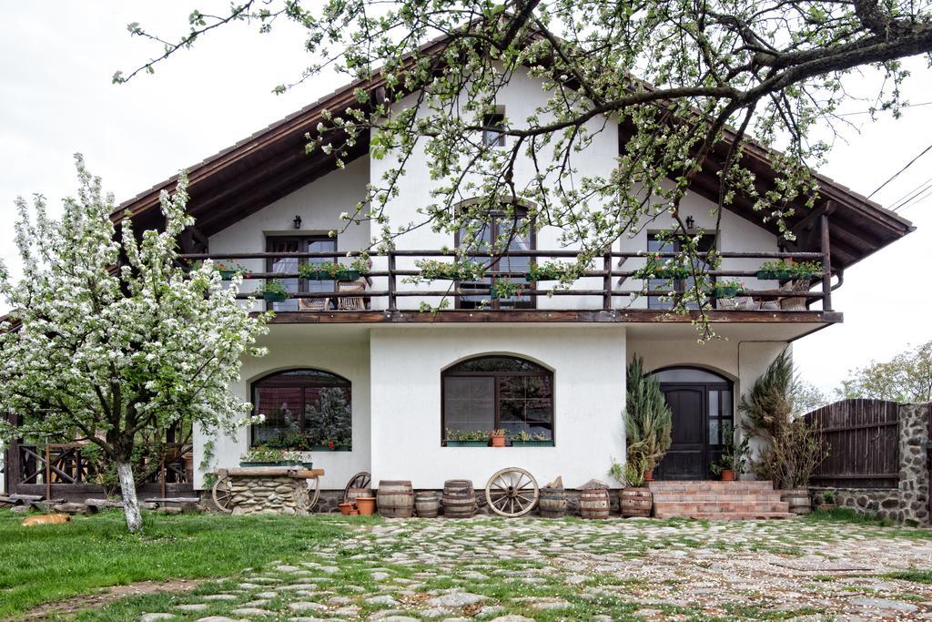 Casa Mosului - Transfagarasan Bed & Breakfast Cîrţişoara 外观 照片