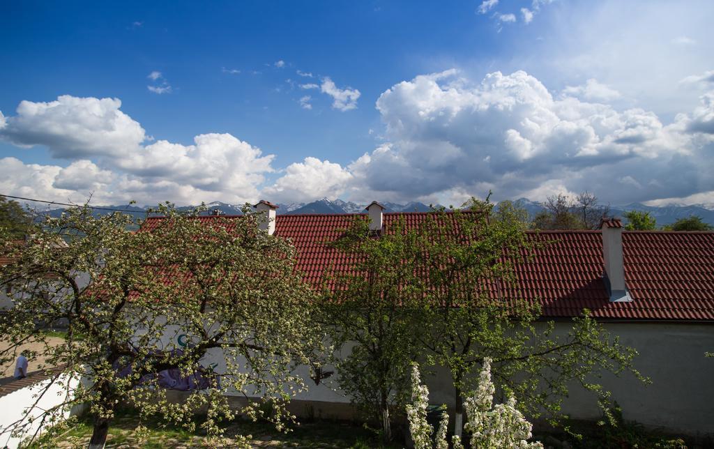 Casa Mosului - Transfagarasan Bed & Breakfast Cîrţişoara 外观 照片