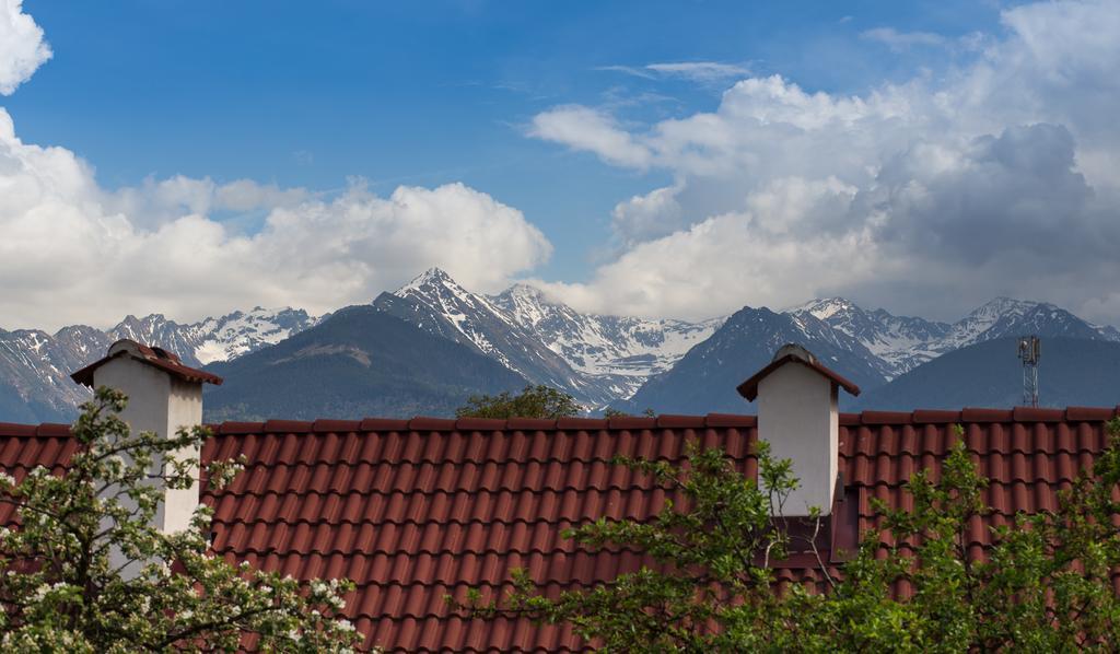 Casa Mosului - Transfagarasan Bed & Breakfast Cîrţişoara 外观 照片