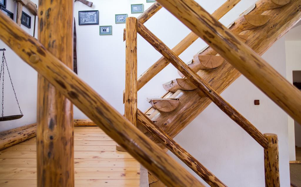 Casa Mosului - Transfagarasan Bed & Breakfast Cîrţişoara 外观 照片