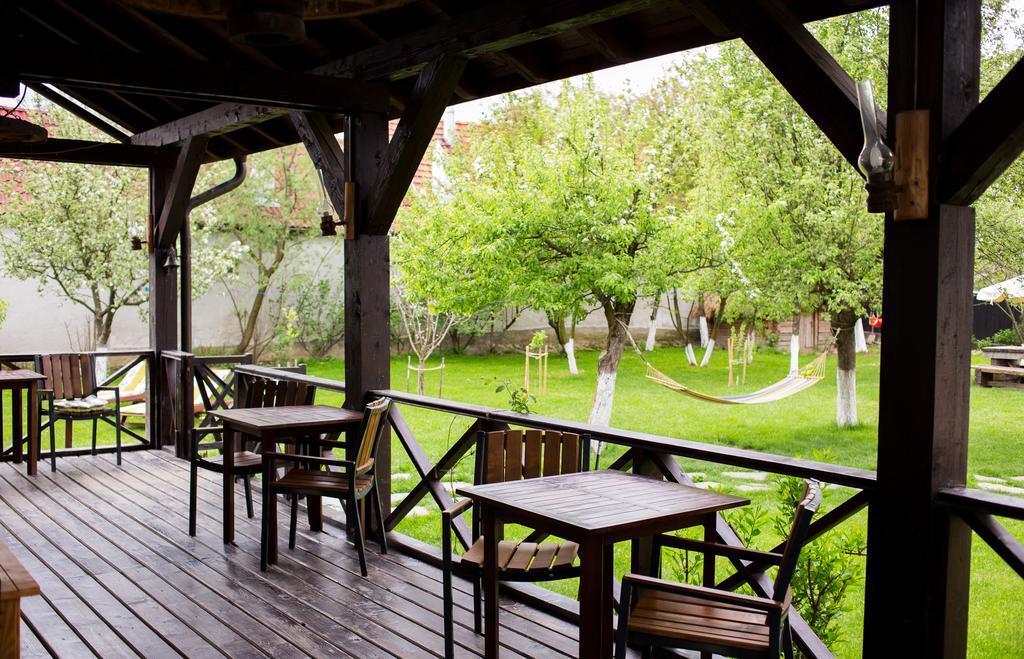 Casa Mosului - Transfagarasan Bed & Breakfast Cîrţişoara 外观 照片