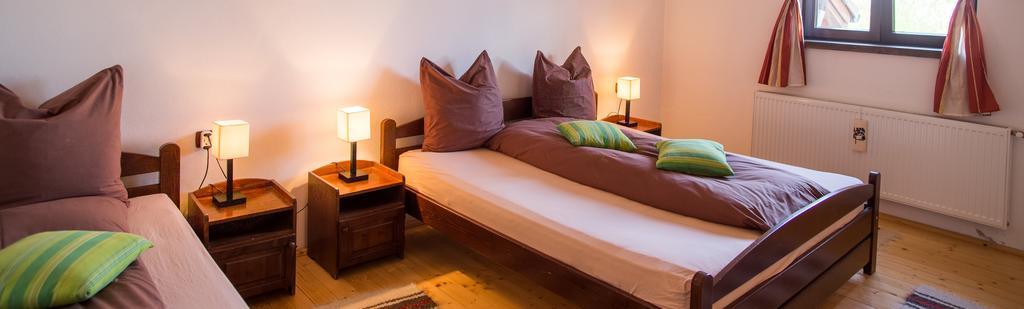 Casa Mosului - Transfagarasan Bed & Breakfast Cîrţişoara 外观 照片