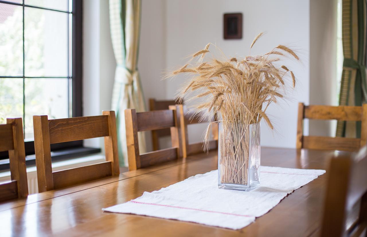 Casa Mosului - Transfagarasan Bed & Breakfast Cîrţişoara 外观 照片